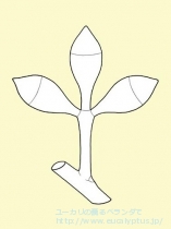 fancyboxｱｸﾞﾚｶﾞｰﾀ(Eucalyptus aggregata)の画像9